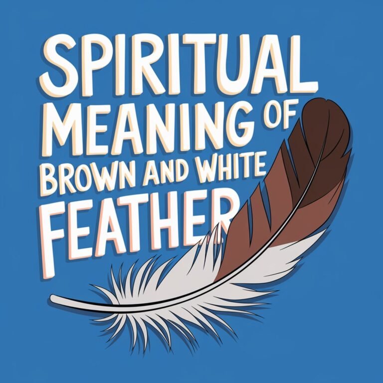 13 Spiritual Meaning of Brown and White Feather: The Ultimate Guide