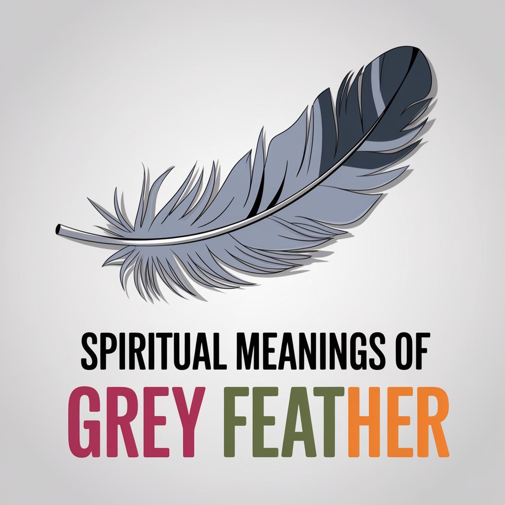 Grey Feather