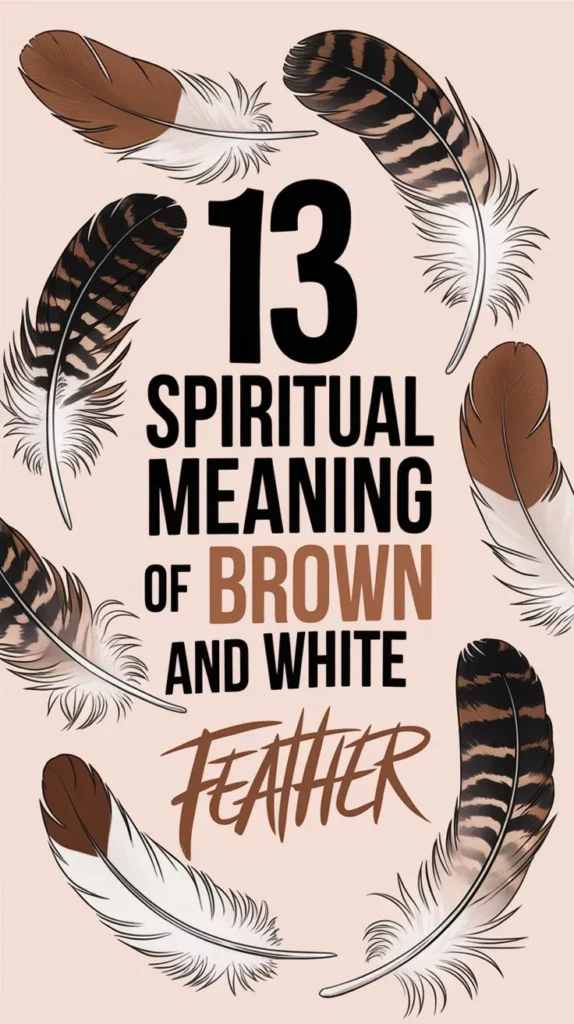 13 Spiritual Meaning of Brown and White Feather: The Ultimate Guide