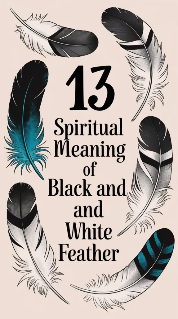 13 Spiritual Meaning of Black and White Feather: Hidden Secrets Discovered