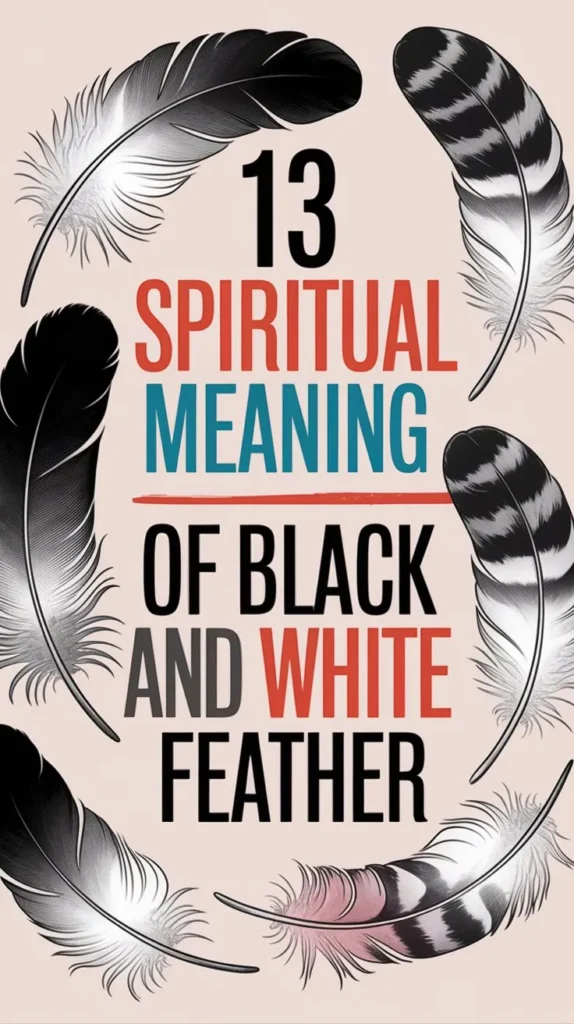 13 Spiritual Meaning of Black and White Feather: Hidden Secrets Discovered