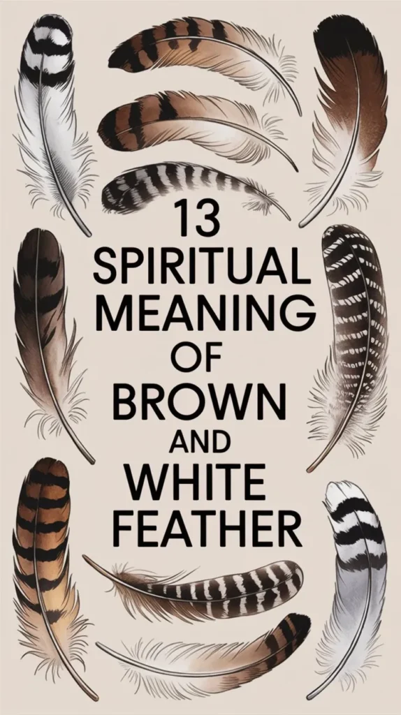 13 Spiritual Meaning of Brown and White Feather: The Ultimate Guide