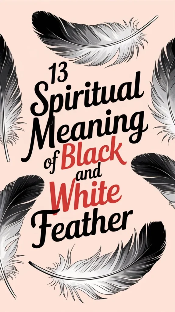 13 Spiritual Meaning of Black and White Feather: Hidden Secrets Discovered