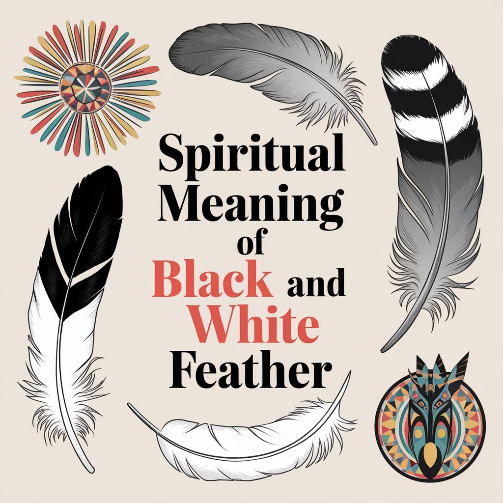 13 Spiritual Meaning of Black and White Feather: Hidden Secrets Discovered