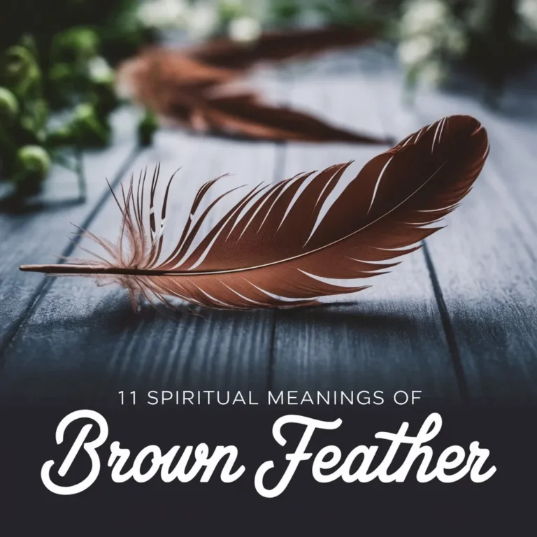 11 Spiritual Meanings of Brown Feather: Hidden Secrets