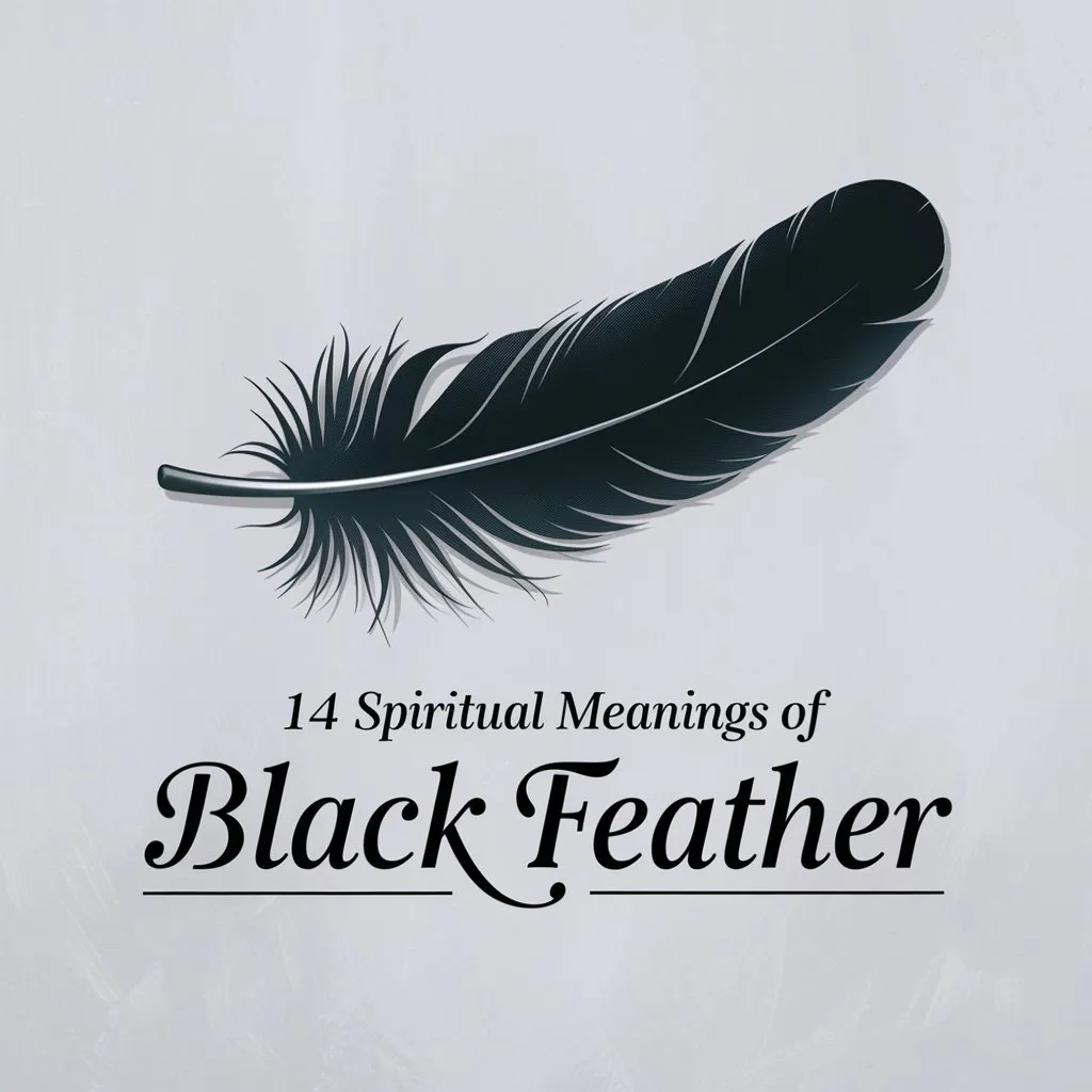 14 Spiritual Meanings of Black Feather: Hidden Secrets