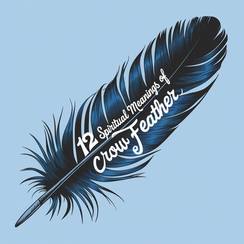 Crow Feather