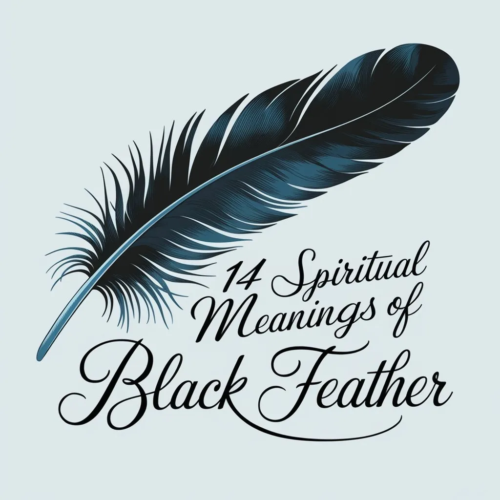 14 Spiritual Meanings of Black Feather: Hidden Secrets