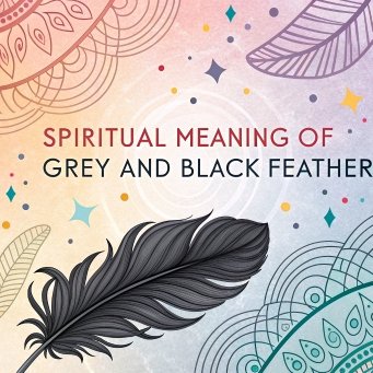 11 Spiritual Meaning of Grey and Black Feather: A Secret of Balance and Protection?