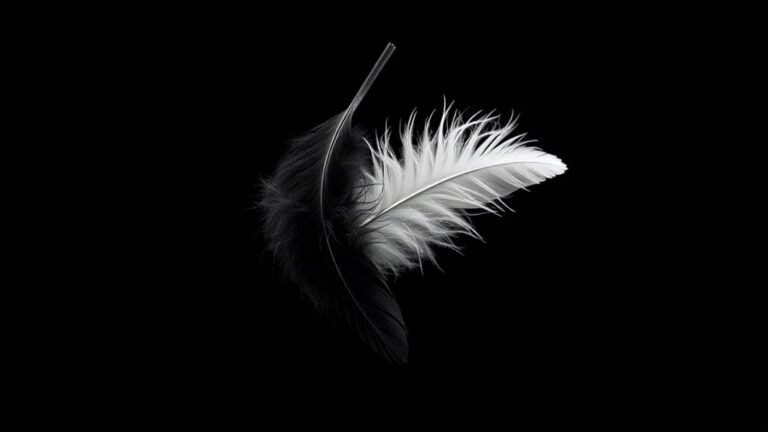 feathers hold spiritual significance