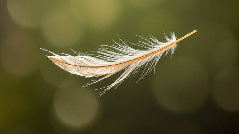 spiritual significance of feathers