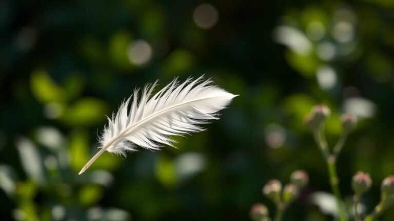 spiritual significance of white feathers