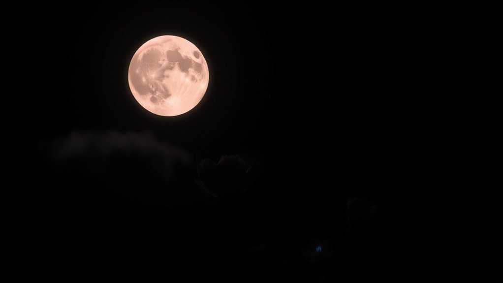 micro flower moon meanings
