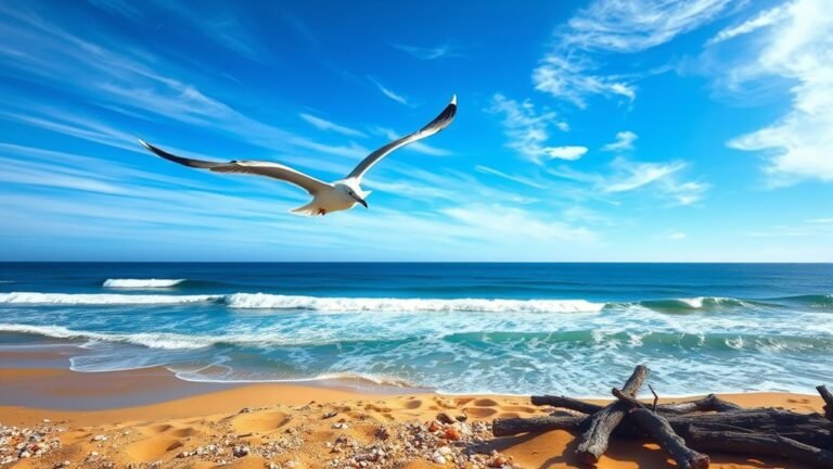 seagull symbolism freedom adaptability